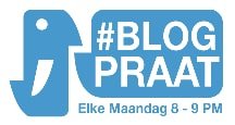 Gastblog over wat is een zakelijk blog op blogpraat Kitty Kilian