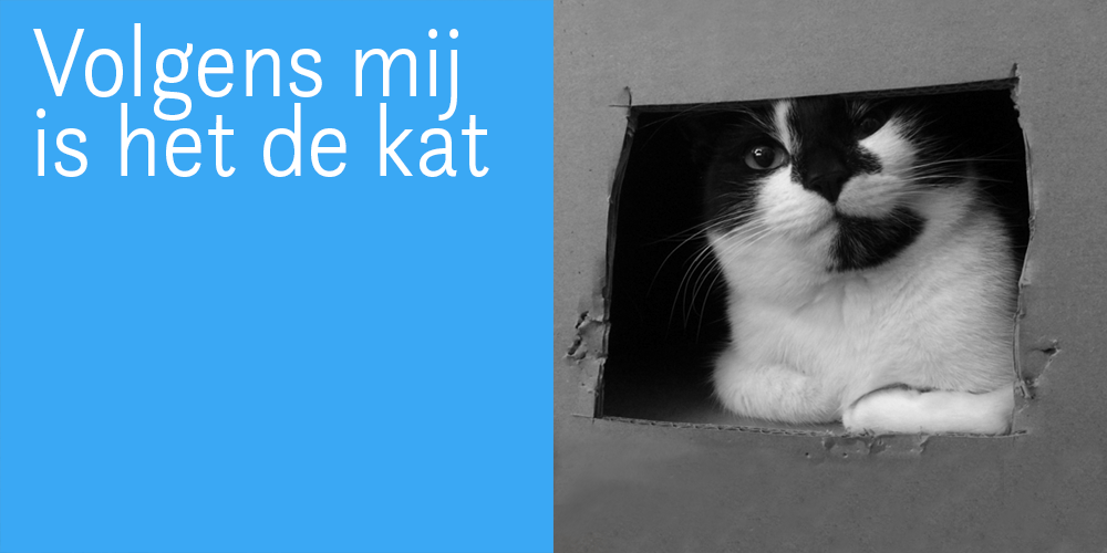 medisch raadsel van de kat