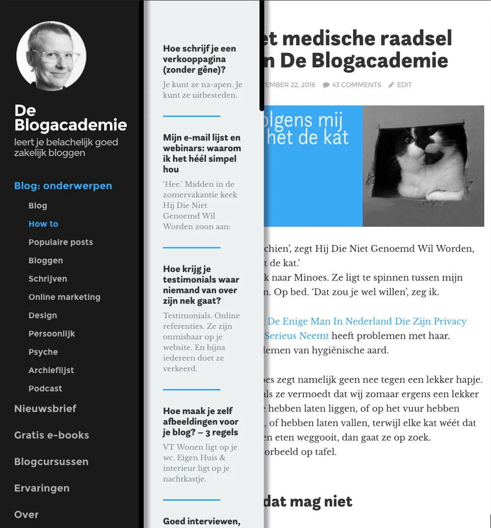 De zijbalk als je op onderwerpen zoekt